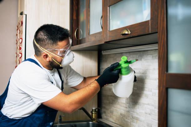 Best Commercial Pest Control Services  in River Park, FL